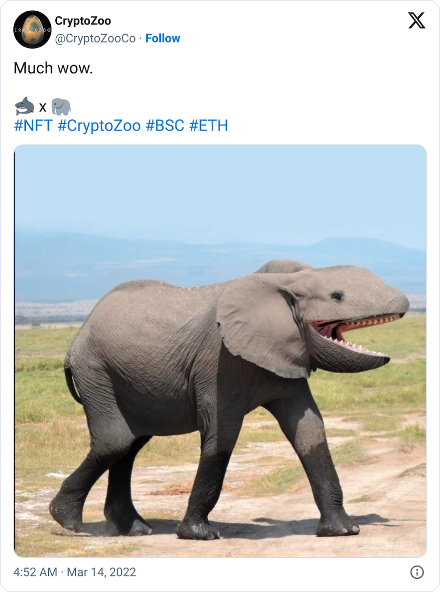 CryptoZoo Suit Fails to Tie Logan Paul to Collapse: Judge