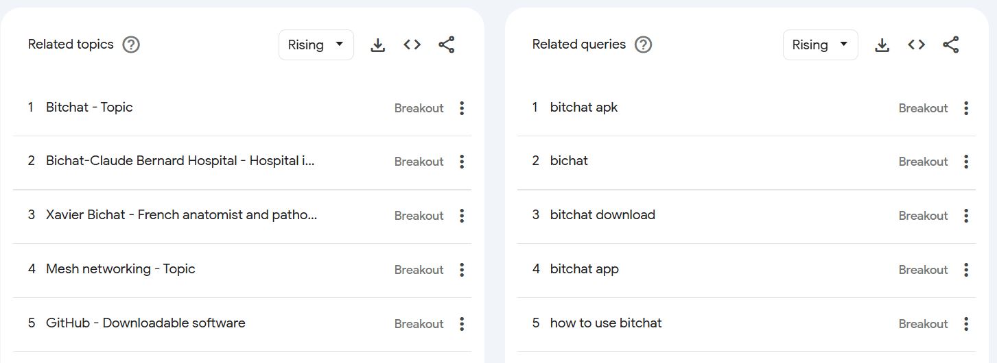 Protests in Madagascar Spark Sharp Rise in Bitchat App Usage