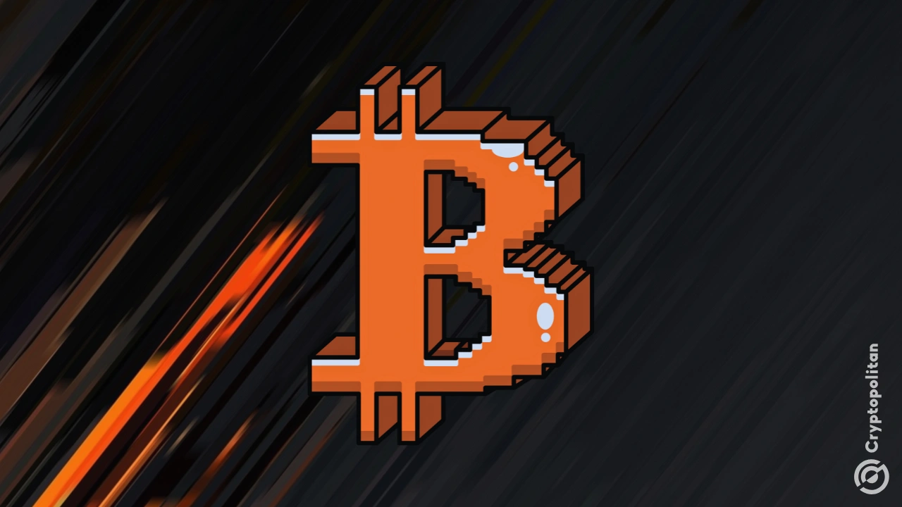 Bitcoin treasuries crash 76% as Wall Street pulls back