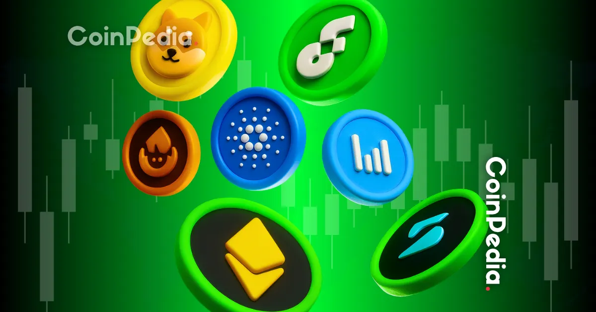 Key Factors Behind the Sell-Off