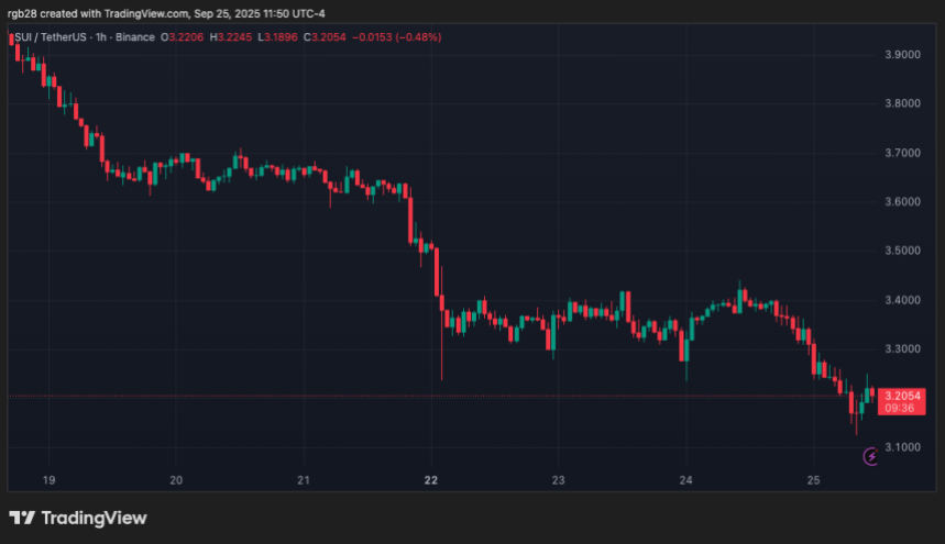 SUI Retest Key Support Amid 8% Drop – Bounce Or Breakdown?