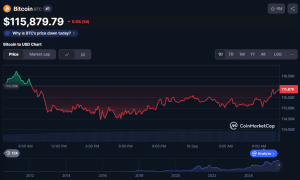 Michael Saylor, Tom Lee In Push For Strategic Bitcoin Reserve