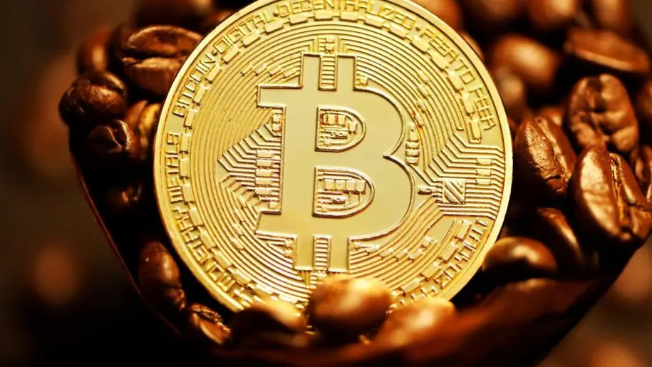 Expert Flags Trump’s Fed Choice as Key Driver