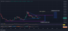 Bonk Price Prediction: Double Bottom + Oversold Signal – Perfect Entry for a Massive 100% Pump