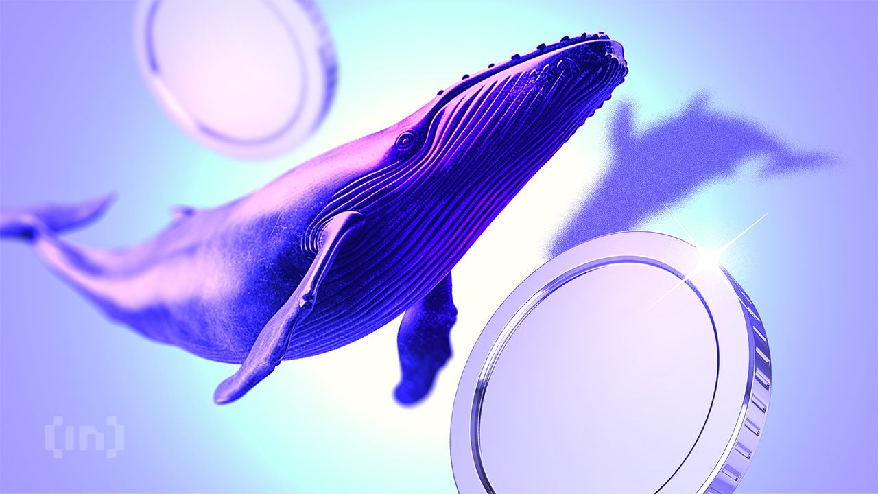 MEXC Apologizes Over  Million Dispute With The White Whale