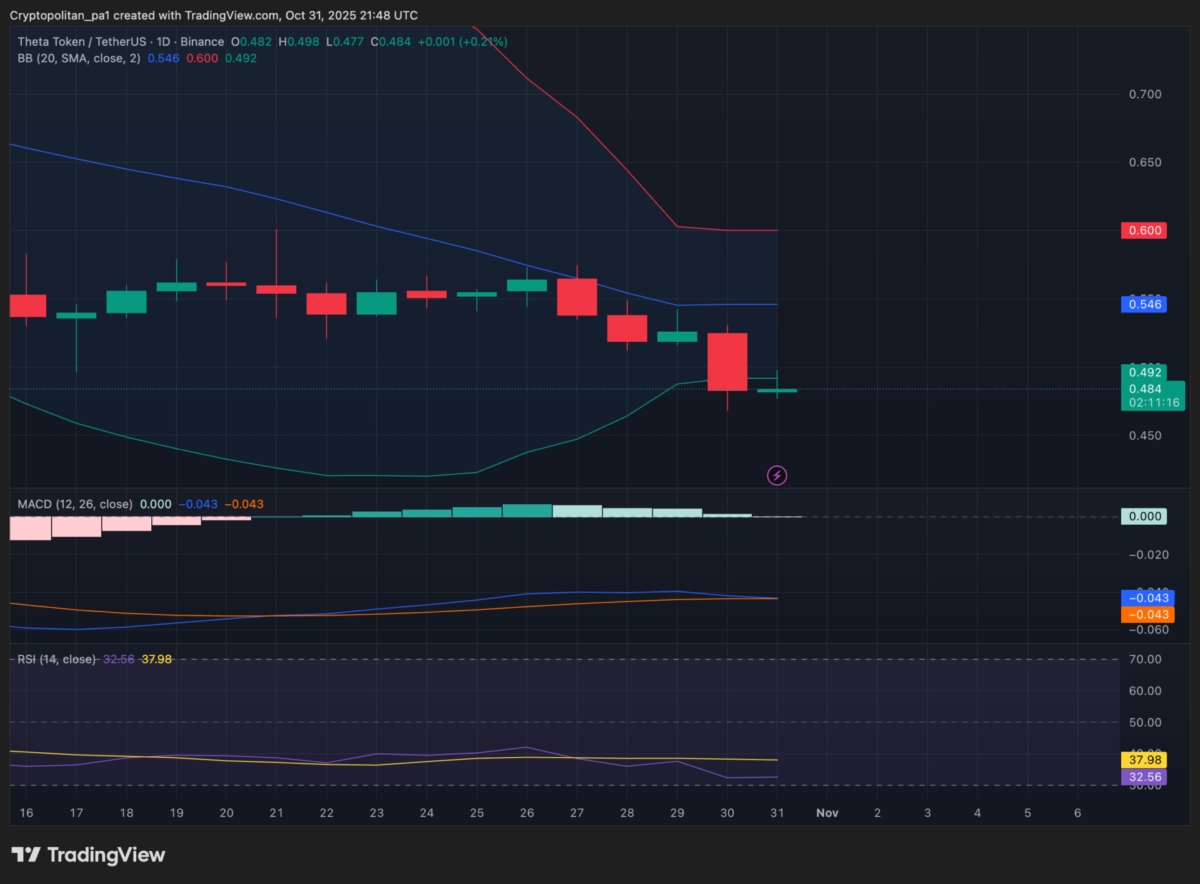 Theta price prediction 2025-2031: Can THETA make you rich?