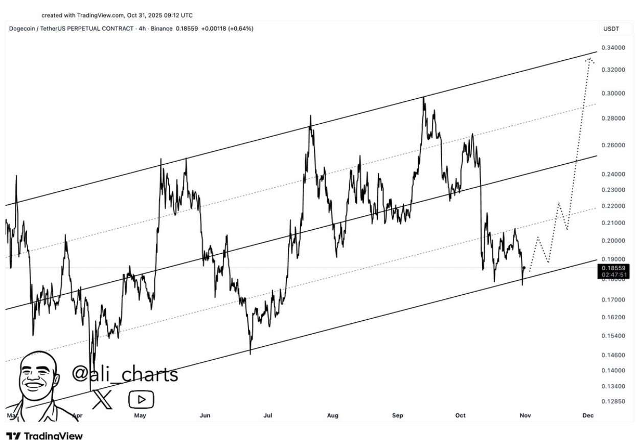 Dogecoin Price In A Do or Die Situation, Will DOGE Bulls Charge Back?