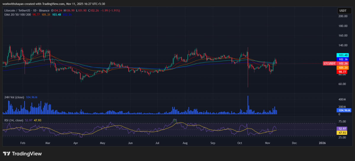 Litecoin price prediction 2025-2031: Will LTC recover to 0 soon?